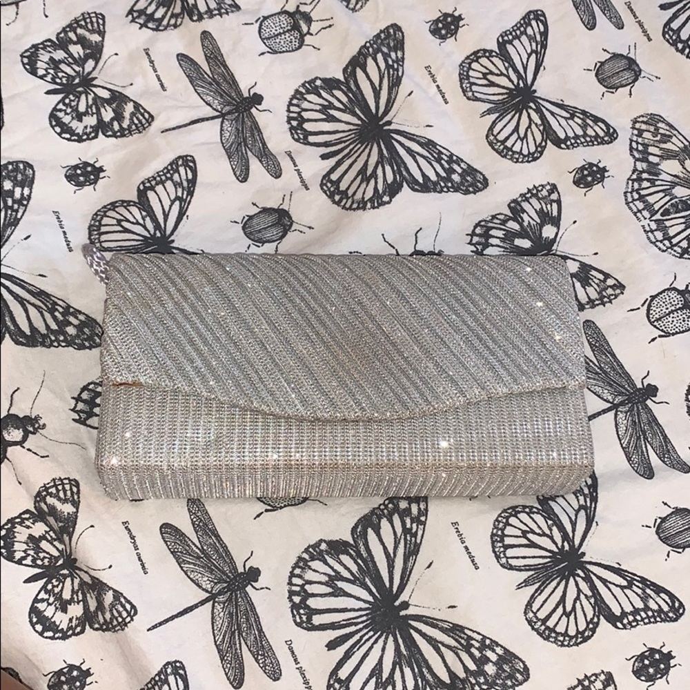 Sparky silver clutch/purse.